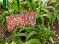 -仁和公园(顺义区)