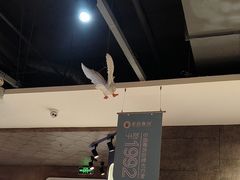 -老昌春饼(欧亚世纪店)