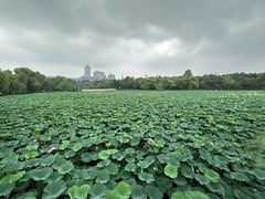 -长春市南湖公园