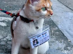 -Again Coffee Roaster(香蜜湖店)