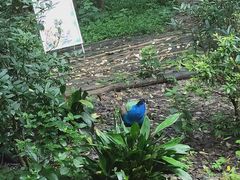 餐饮设施-成都大熊猫繁育研究基地