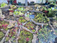 -国家植物园南园