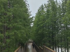 -双山岛