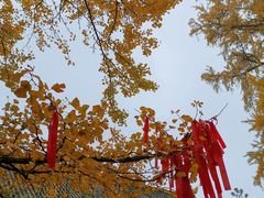 -金堂县云顶石城风景区