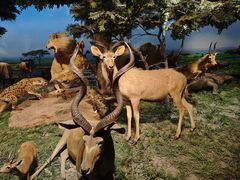 -国家自然博物馆