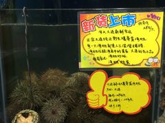 -蚝专家(北滘店)