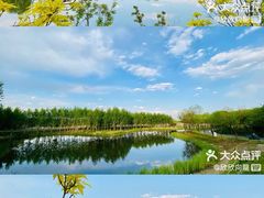-东郊湿地公园