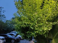 -夜宴江景餐厅