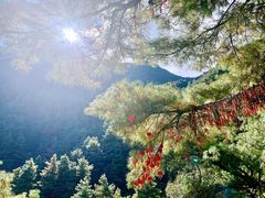 -苍山感通索道