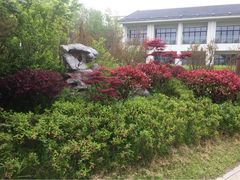 环秀晓筑养生度假村-苏州环秀晓筑养生度假村