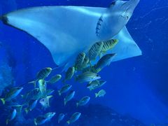 -波塞冬旅游度假区