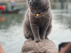 -锦溪古镇