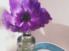 -Flower in(密渡桥店)