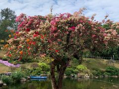 -白云山索道-售票处