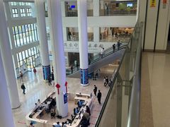 -上海市第四人民医院