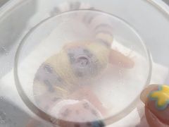 -酷以爬仙阁实体爬宠店·守宫·蜥蜴·专业繁育