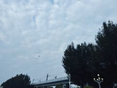 -宝安西湾红树林湿地公园