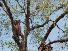 -北京西山国家森林公园