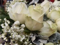 -循礼门鲜花花市(武汉循礼门店)