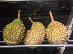 -都念榴莲·城市榴莲