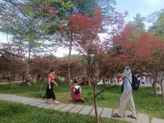 -广州市帽峰山景区