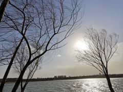 -绿堤公园