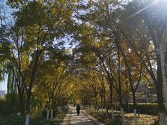 -南翠屏公园