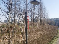 -田园东方蜜桃村的田野营地