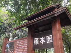 -中国科学院西双版纳热带植物园