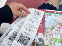 -Big Bus Tours 敞篷观光巴士