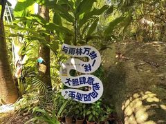 -呀诺达热带雨林