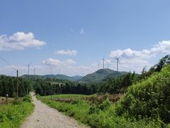 -齐岳山