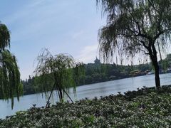 -苏堤停车场