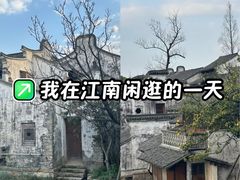 -金庸书院