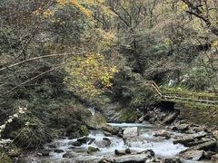 -神农架香溪源景区
