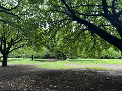 -井之头恩赐公园