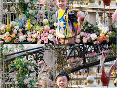 -J Create城市露营咖啡·简餐·宠物(上海动物园店)