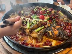 -老板恋上鱼(恒隆广场店)