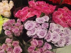 -双季花艺园艺市场(浦东店)