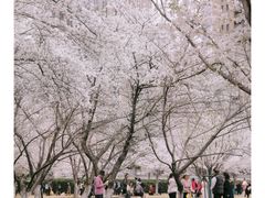 -西北湖绿化广场