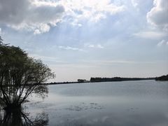 -贡湖湾湿地公园