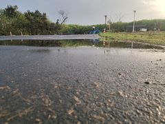 -东海森林温泉