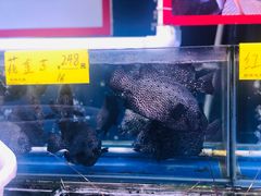 -四海之家(蛇口店)