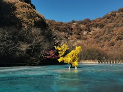 -少华山国家森林公园