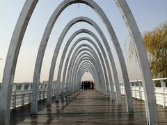 -大兴滨河森林公园