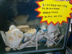 大雪蟹-蚝专家(北滘店)
