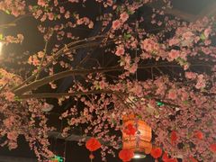 -卢大鲜鱼头捞饭(美利广场店)