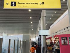 -谢列梅捷沃国际机场