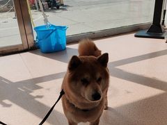 -宠颐生中康贝怡动物医院
