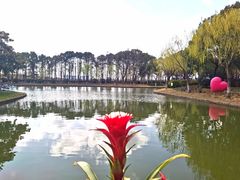 -上海鲜花港